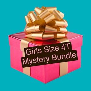 Girls Size 4T Mystery Bundle.